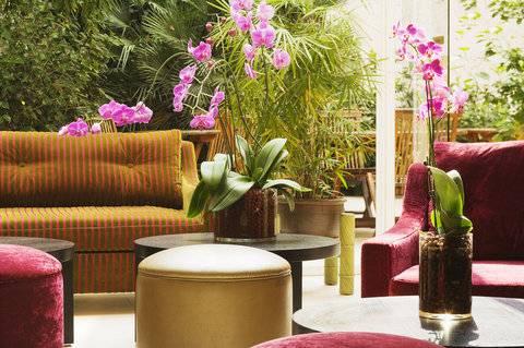 Orchidée Parigi