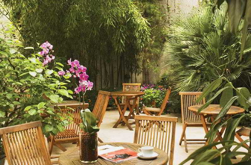 Orchidée Parigi
